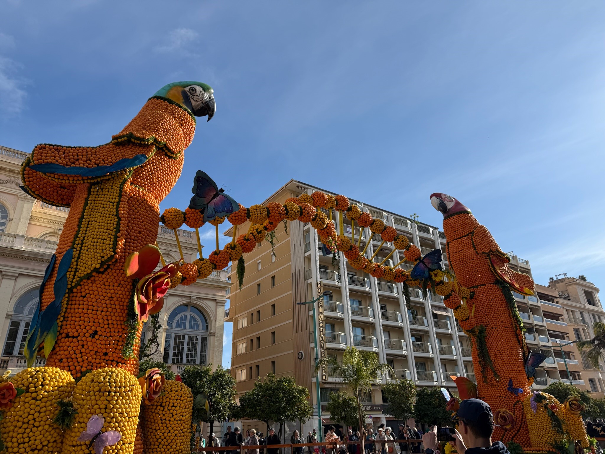 f&ecirc;te du citron menton