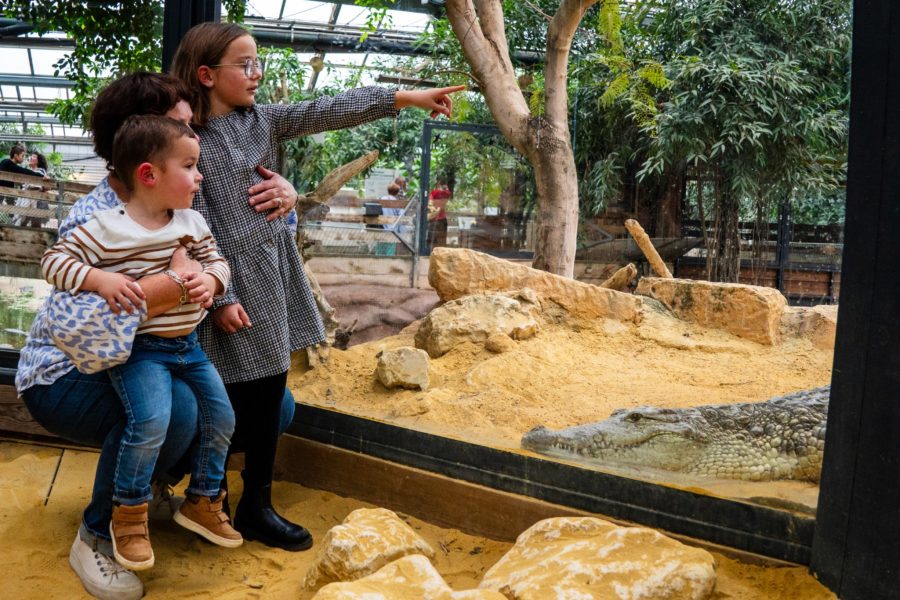 ferme aux crocodiles