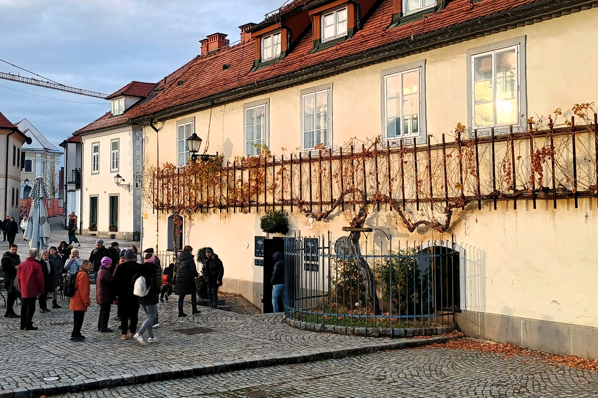 maribor
