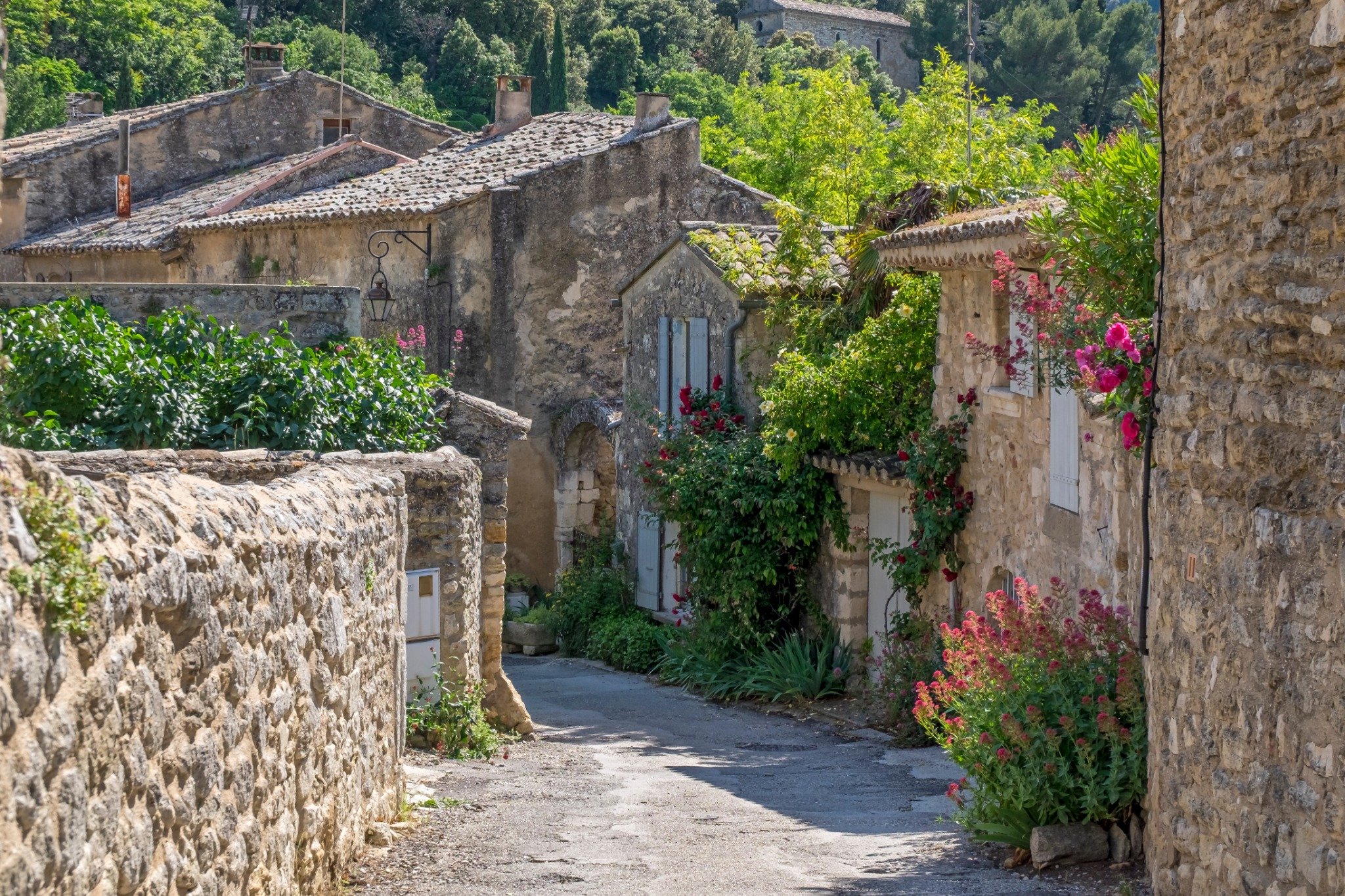 oppède le vieux