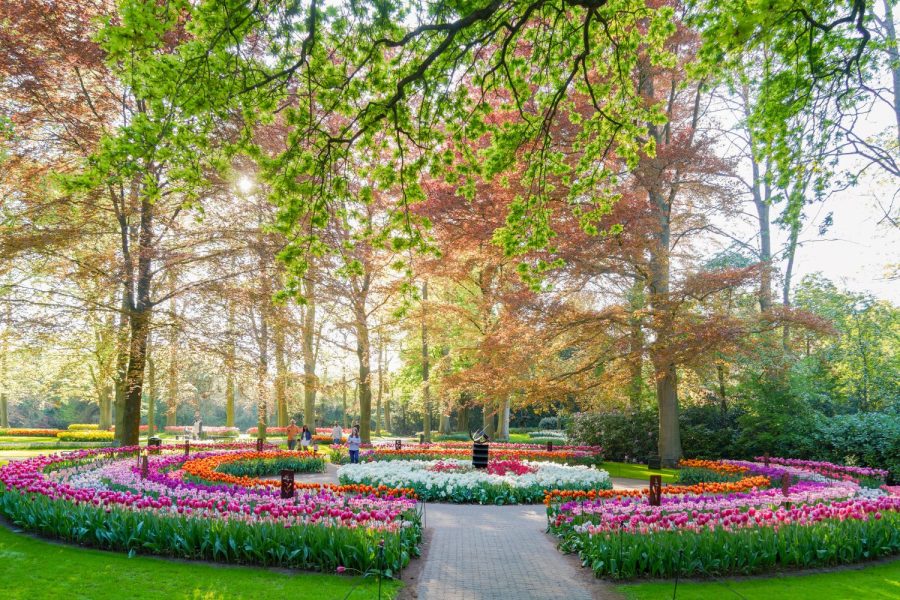 keukenhof