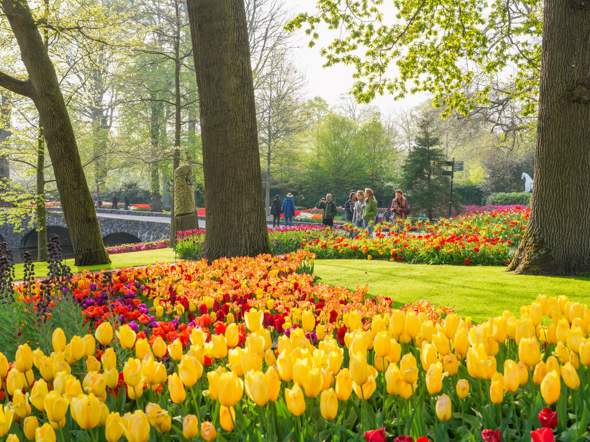 keukenhof