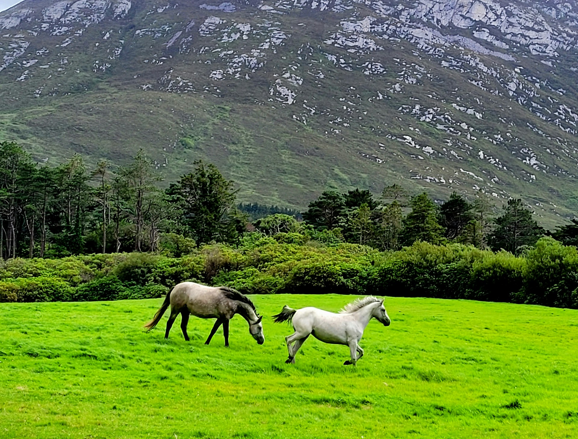 irland