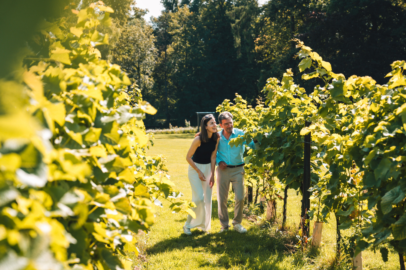On part à la découverte des meilleurs Vignobles et Châteaux de Wallonie