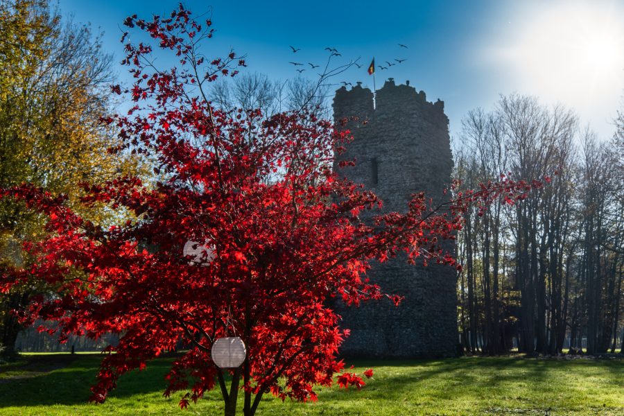 La Tour du Chateau, vue printaniere