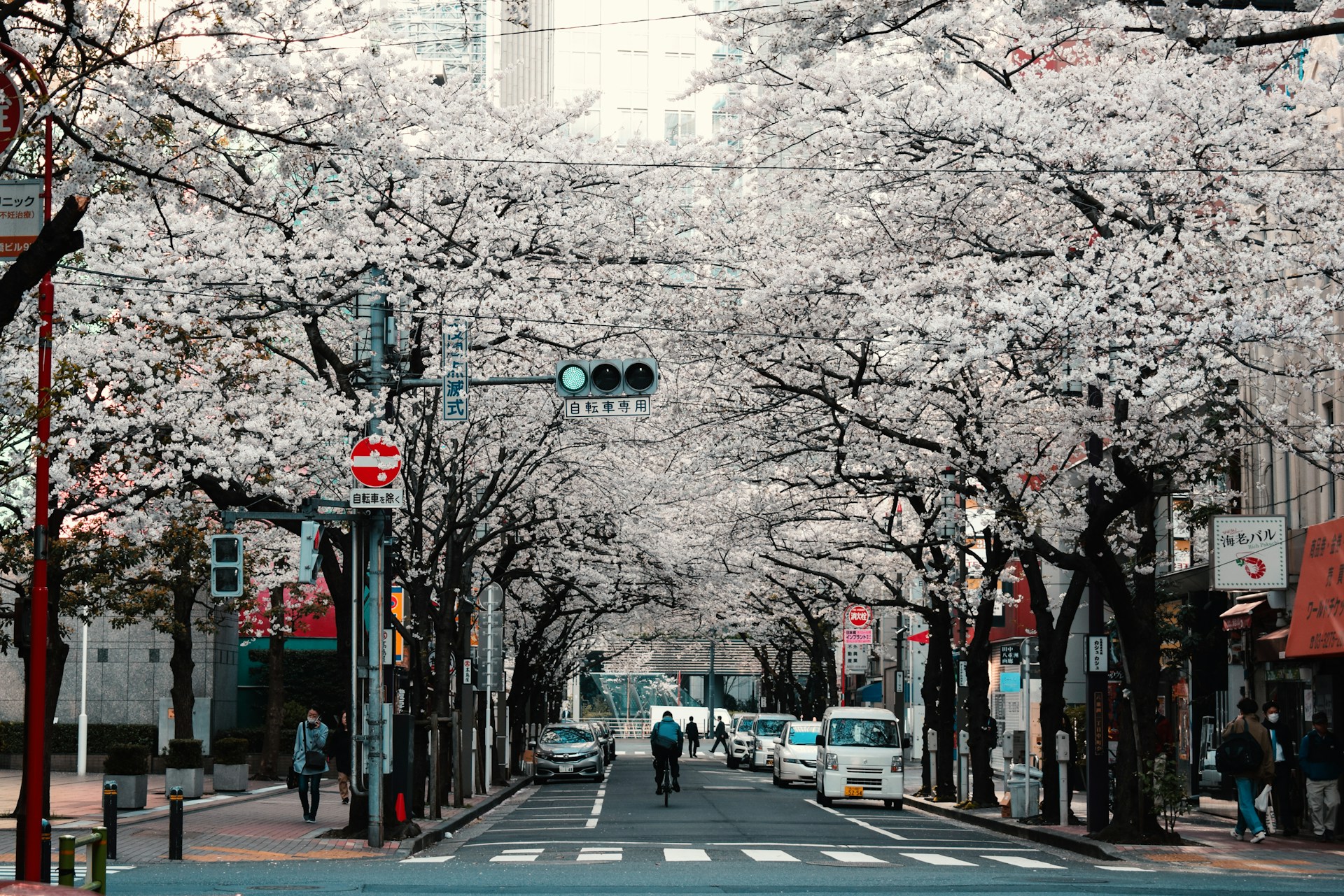 JAPAN