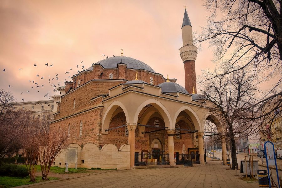sofia