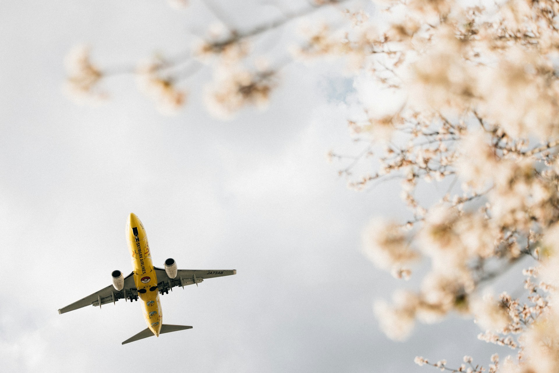 Goedkope vliegtickets naar Japan: het risico op annulering is reëel!