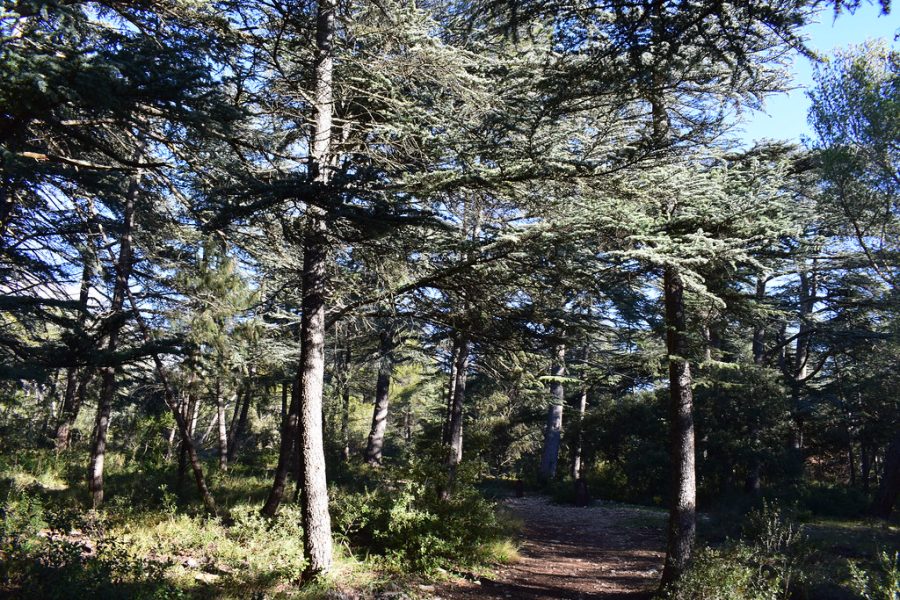 luberon