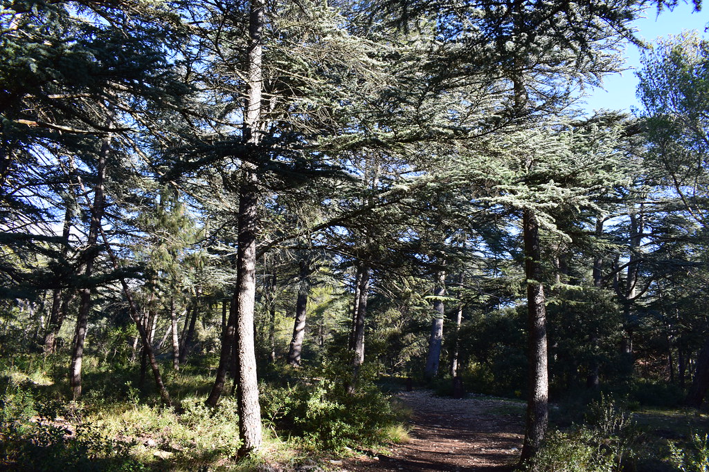 luberon