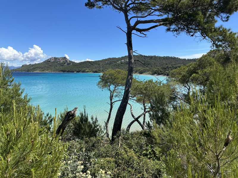 Mil&eacute;ade Carqueiranne