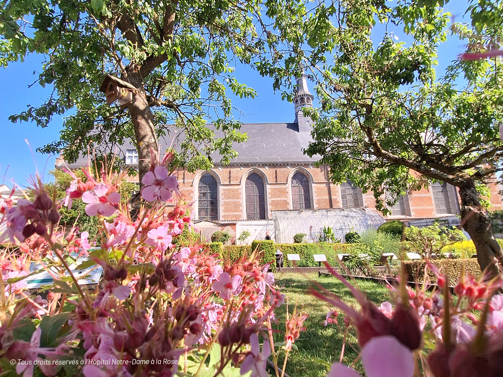 L’Hôpital Notre-Dame à la Rose de Lessines : un lieu unique et hors du temps !