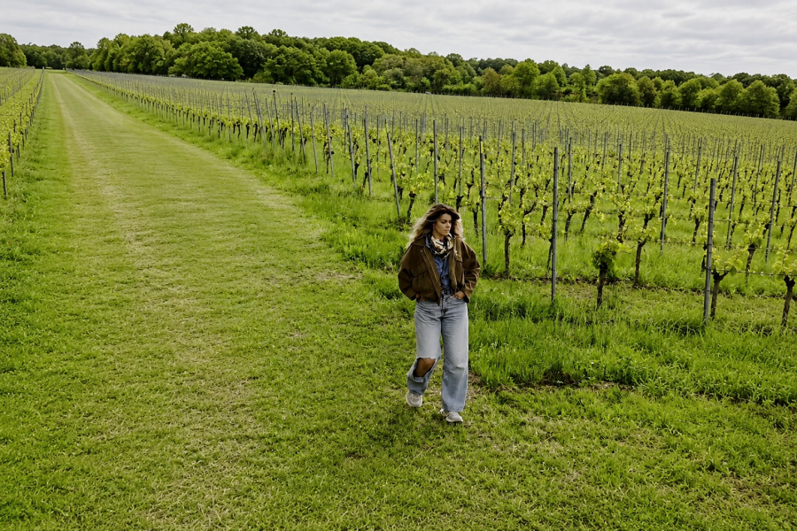 chateau bon baron