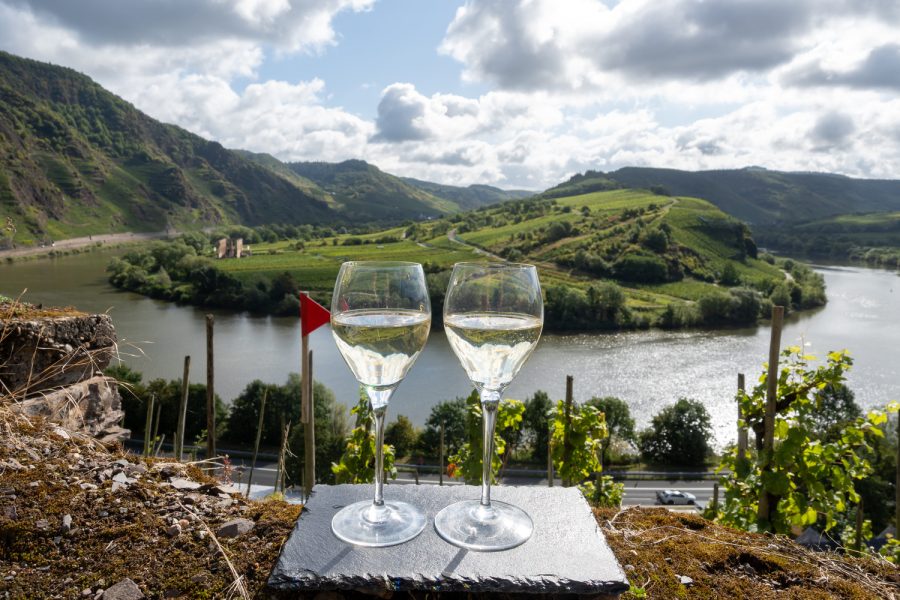 German quality white wine riesling, Mosel wine region, white grapes growing on steepest Calmont Klettersteig vineyard in Europe, two glasses outside near Bremm and Ediger-Eller, Germany