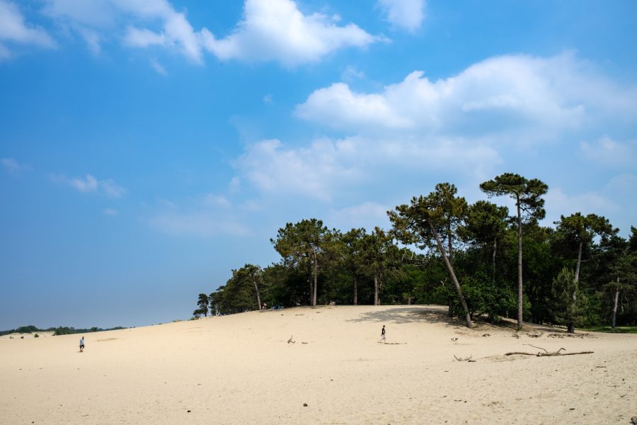 Nationaal Park De Loonse en Drunense Duinen