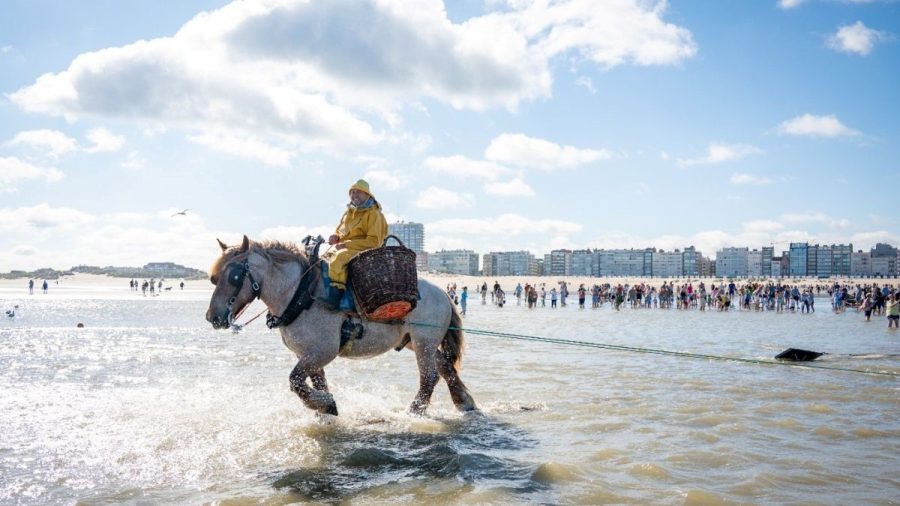 Koksijde
