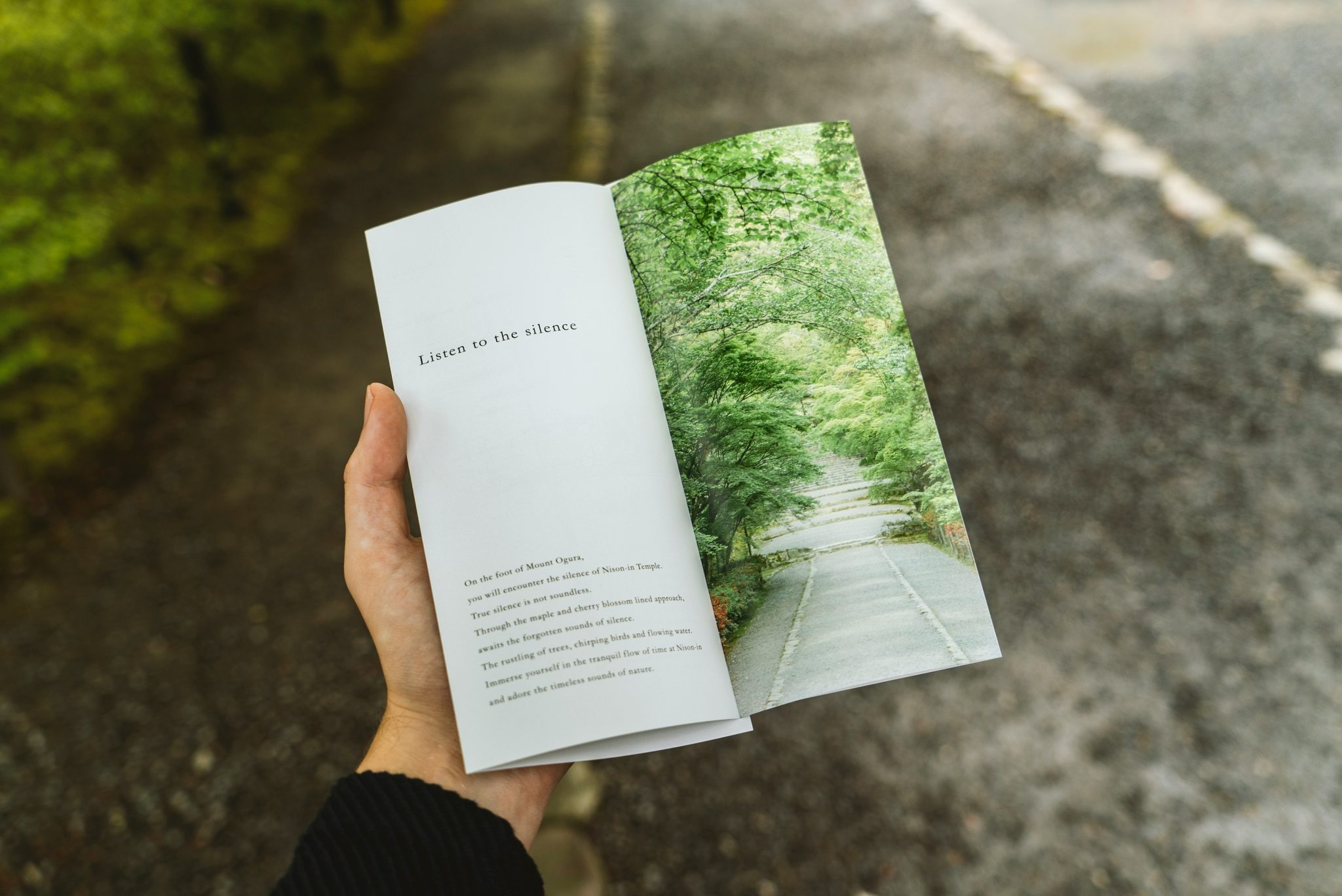 ardenne book