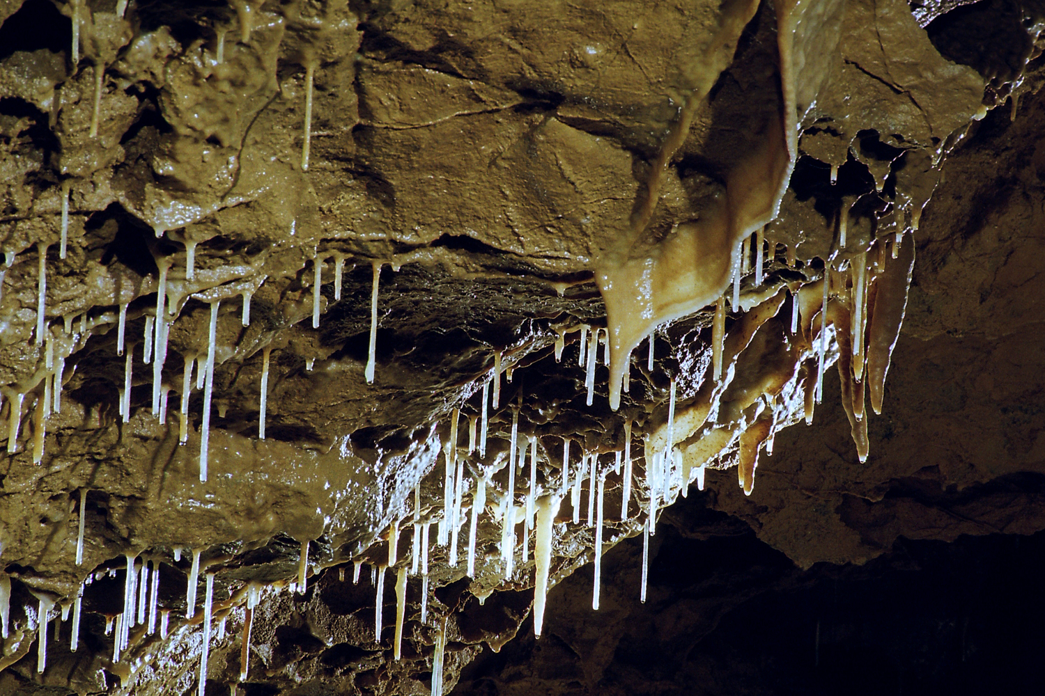La Grotte de Comblain, joyau naturel des profondeurs.