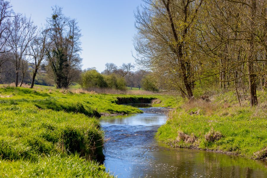 The Berwinne (Berwijn) river flowing through green grass meadow, Idyllic rural landscape with trees along riverside, Clear water and bright green pastures in early spring, Dalhem and Berneau, Belgium.