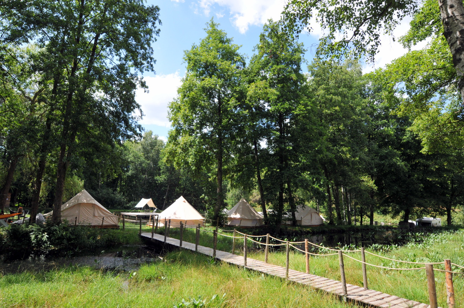 Campings en Wallonie : le tourisme de plein air a-t-il gagné la partie ?