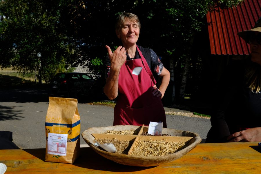 Pivicevic Kovčica