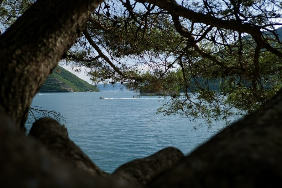 Kotor Bay