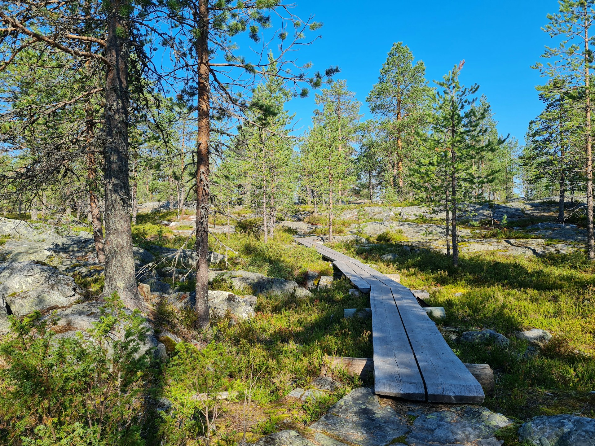 rovaniemi