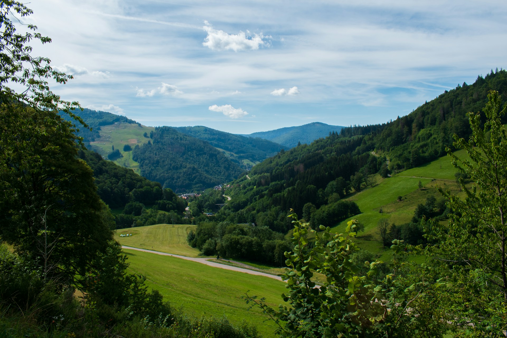schwarzwald