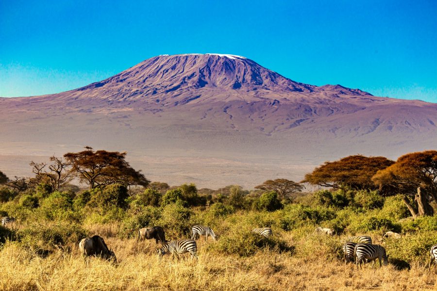 Kilimandjaro