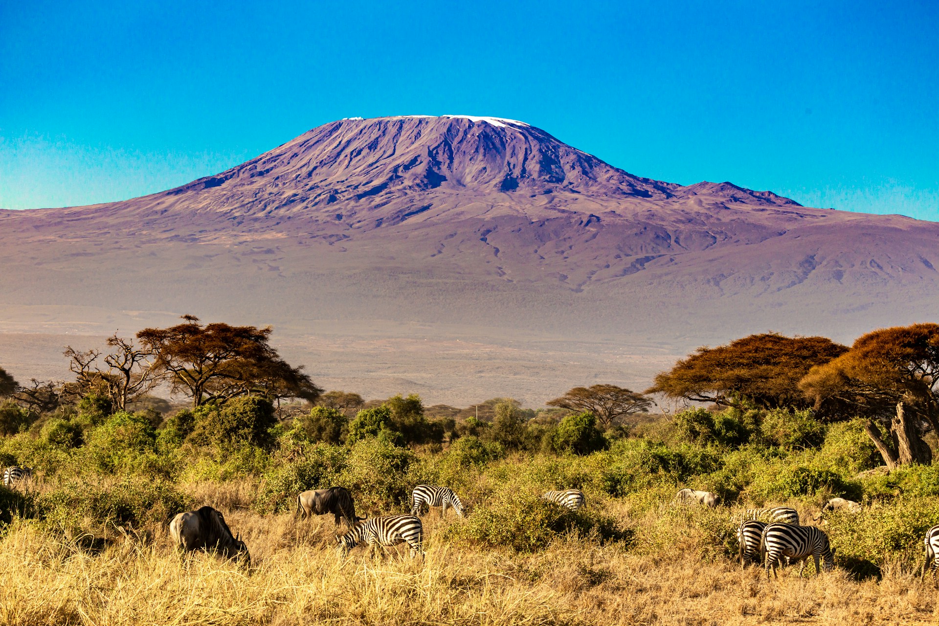 Kilimandjaro