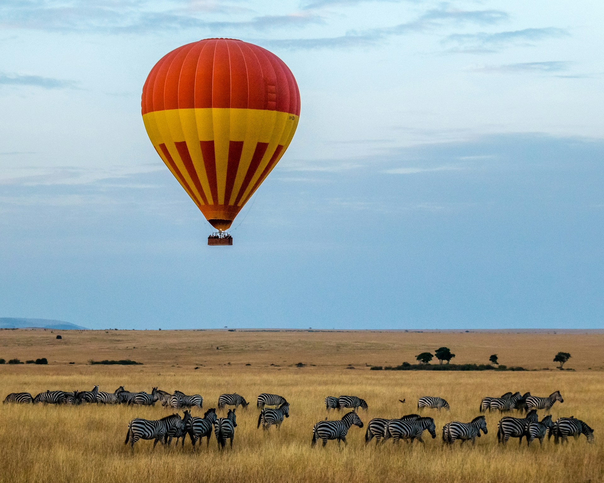 Masai Mara 