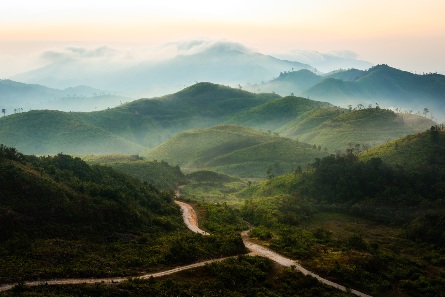 Thaïlande : une étrange “fleur du diable” découverte dans ce parc national !