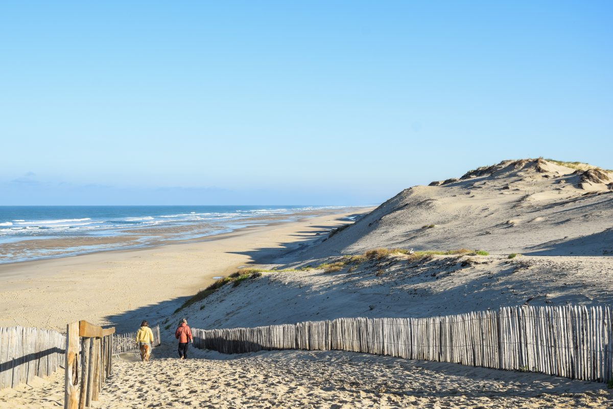 Plages désertes, cerfs et grands crus : le Médoc comme vous ne l’avez jamais vu