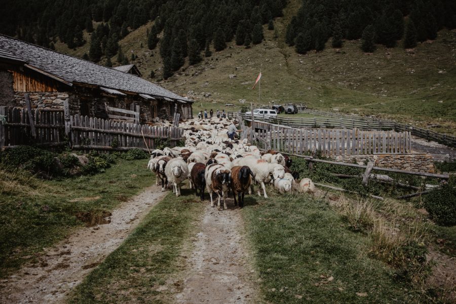 sudtyrol