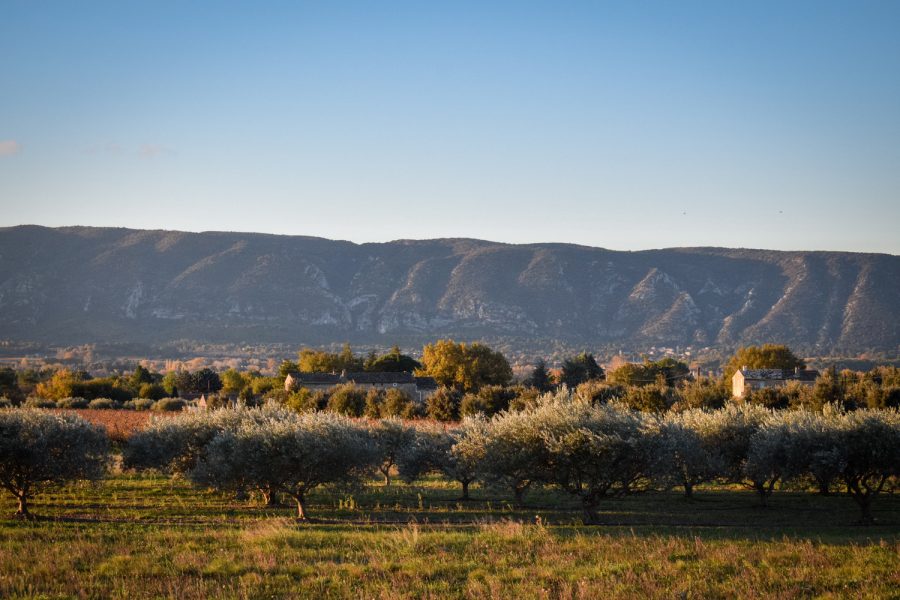 Vignes & Luberon 2