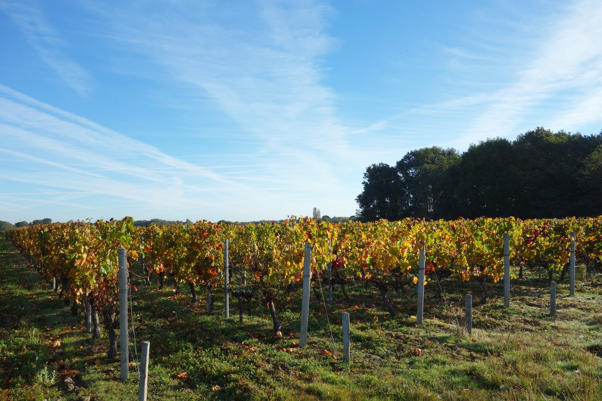 medoc-atlantique