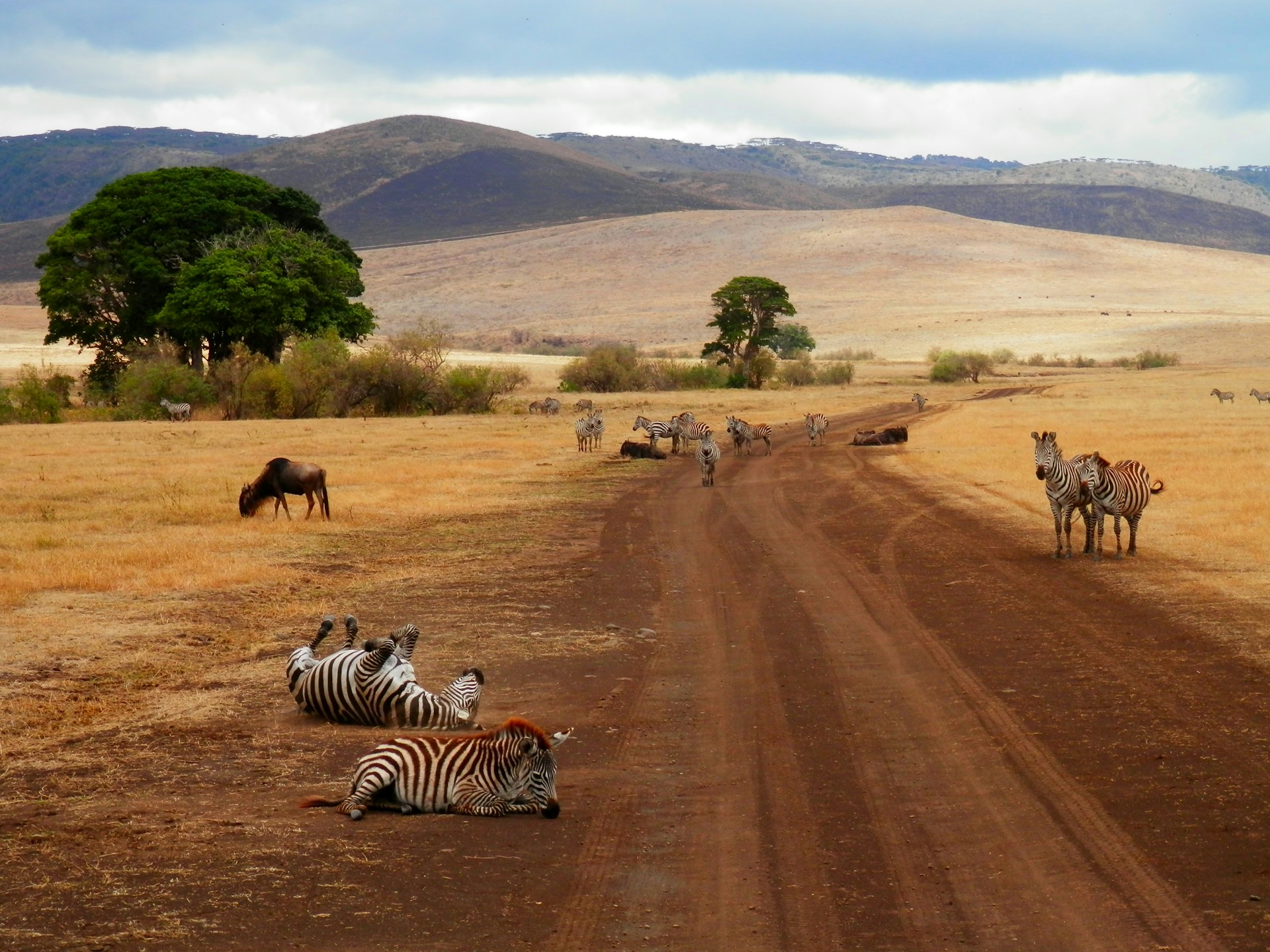 tanzania