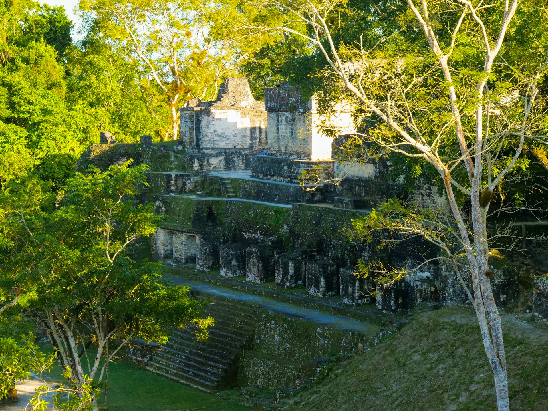 tikal