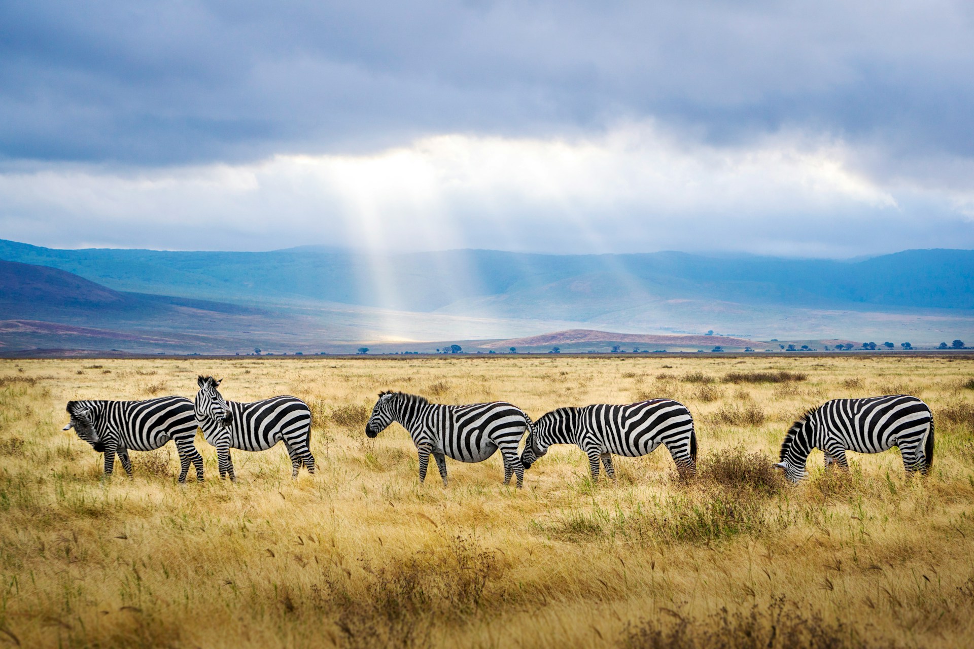 Tanzania: zonder deze verzekering van 44 dollar kom je het land niet in
