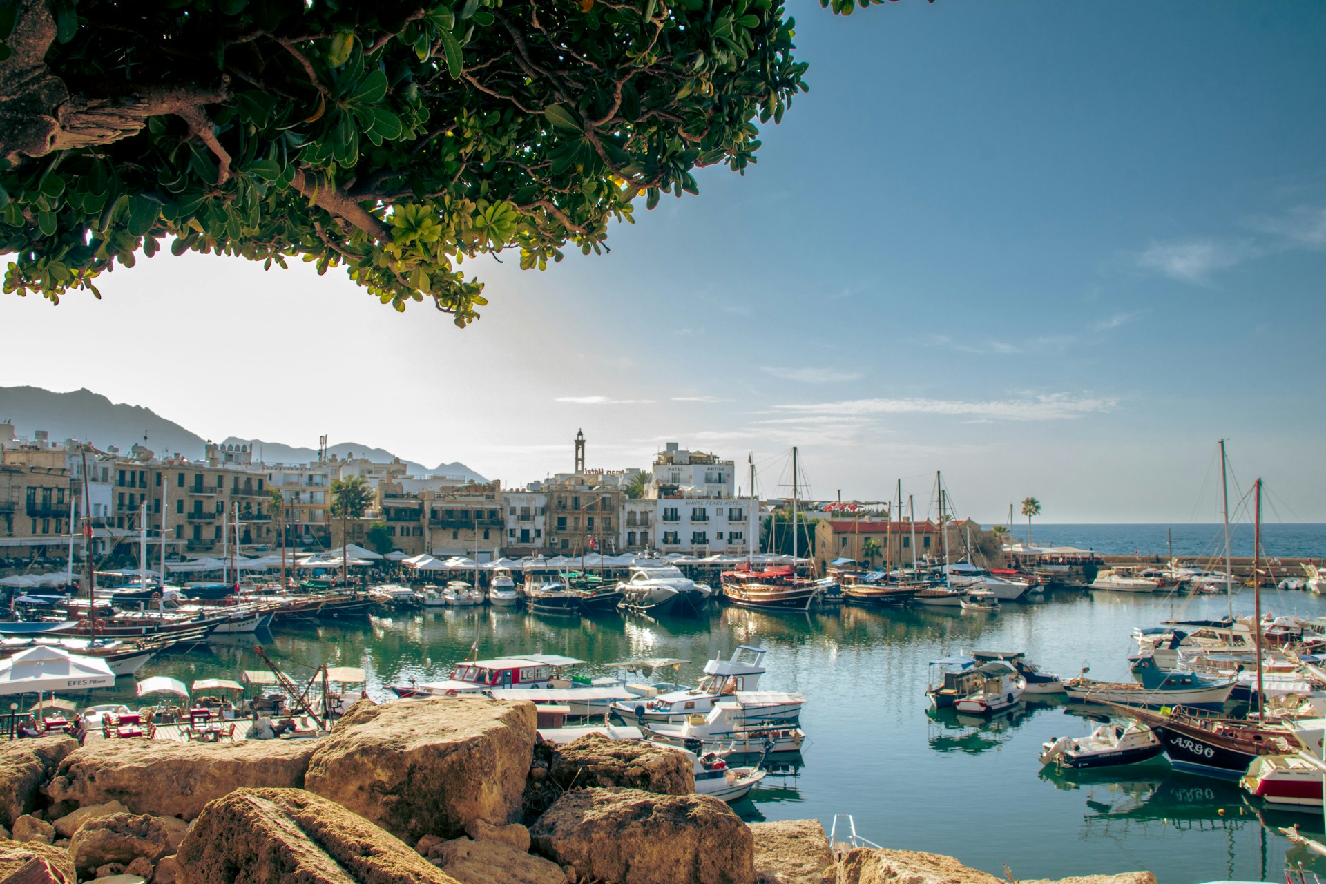 Cyprus wil… zijn katten inzetten om toeristen te lokken