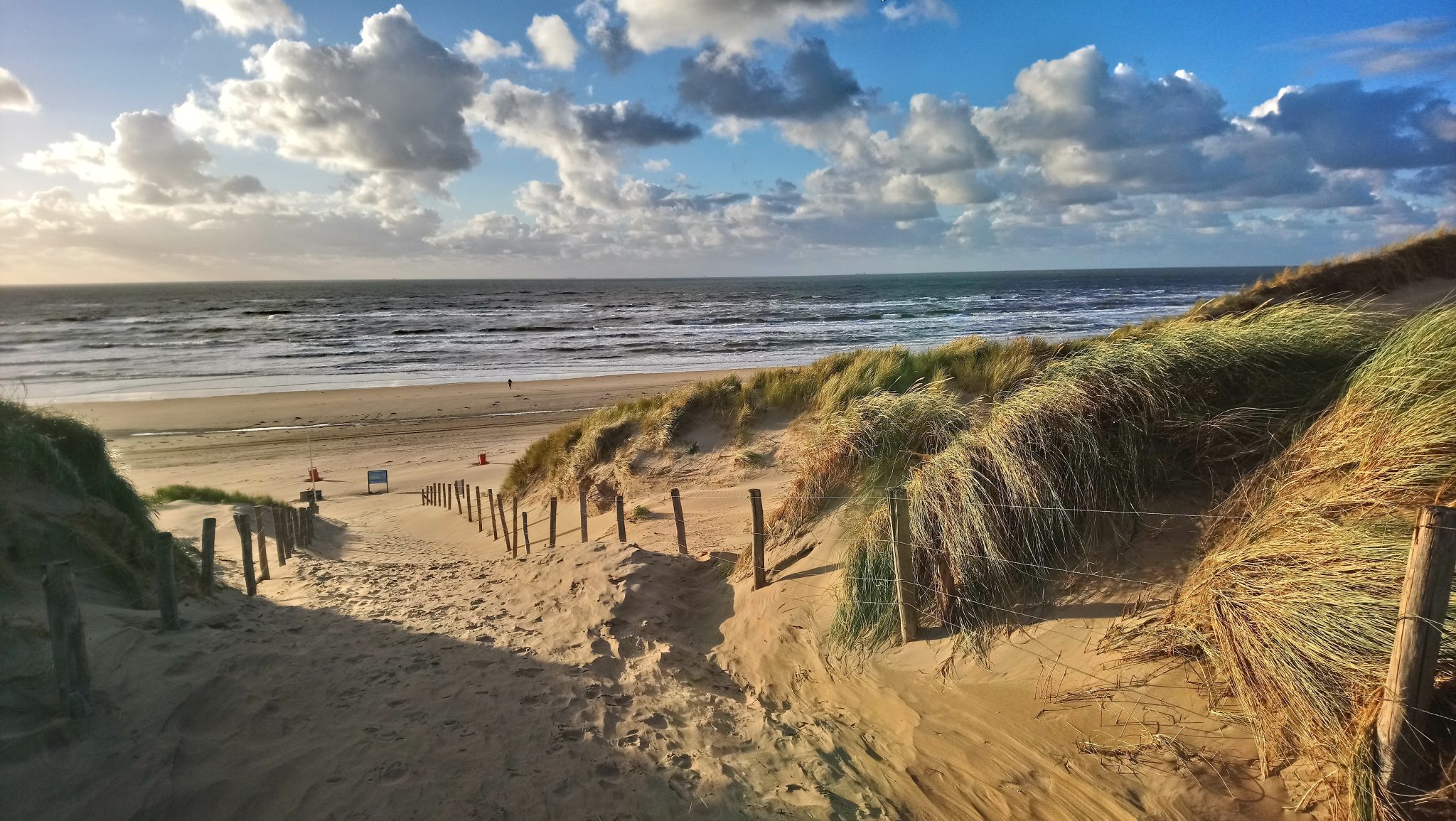 dunes